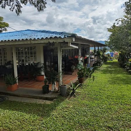 Villa Monica Montenegro Buitenkant foto
